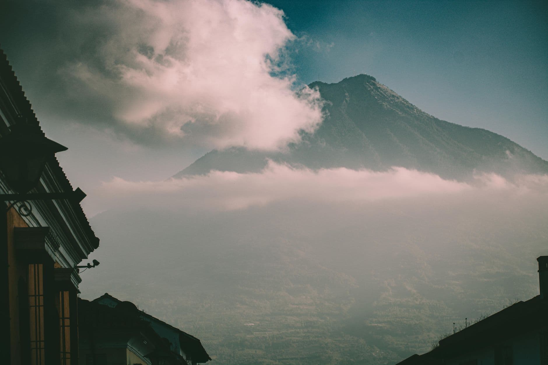 Guatemala Coffee Wholesale: Sourcing High-Grown Arabica From Eight Distinct Regions